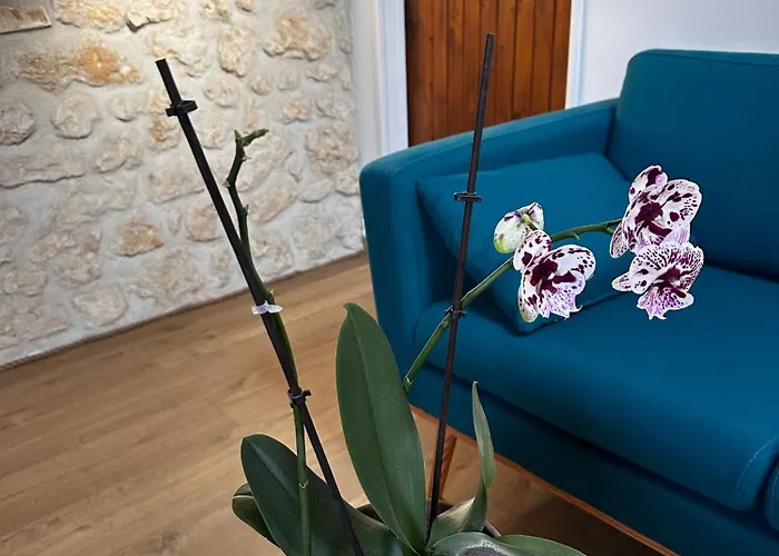 Naturo-gites 3* Nieul-le-Virouil